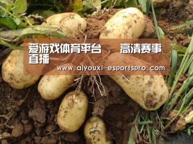 种植基地六