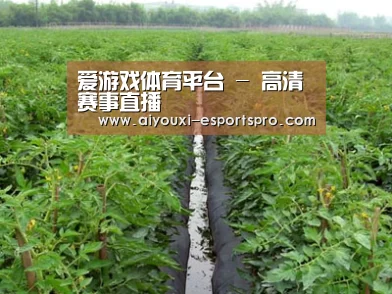 种植基地三