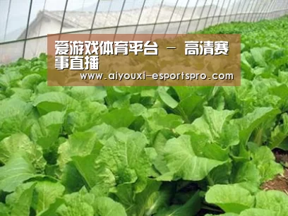 种植基地一