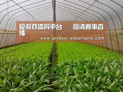种植基地四